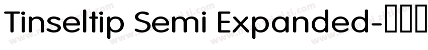 Tinseltip Semi Expanded字体转换